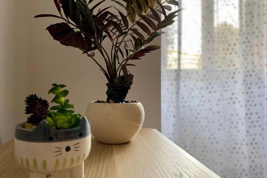 Central Modern Apartment Rome -Locazione Turistica- エクステリア 写真